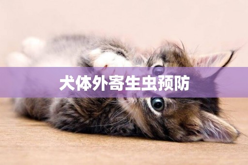 犬体外寄生虫预防